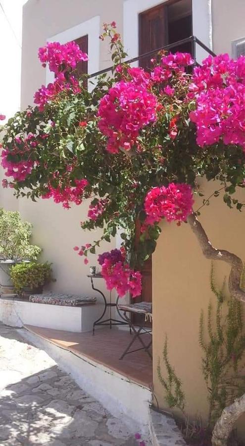 Yiayia'S Home Χάλκη Εξωτερικό φωτογραφία